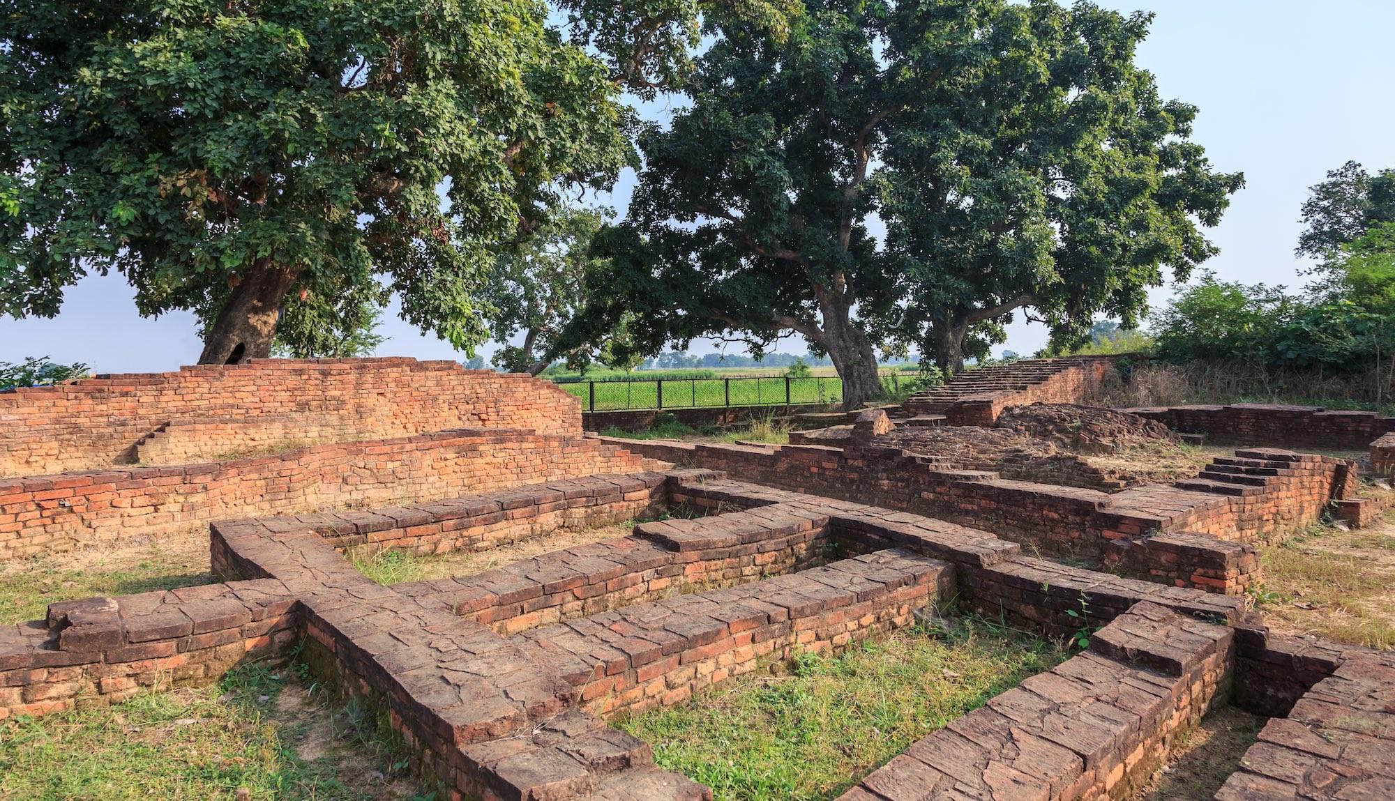 Maya Devi Maternity Trail